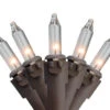 300-Count Clear Mini Christmas Lights Set, 62.25ft Brown Wire -Beauty Wreaths Shop gtocas0v3dpdlit8ck5hg9augsge91sq 92561.1667488340