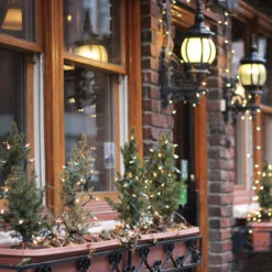 100-Count Warm White LED Mini Christmas Lights, 33ft Green Wire -Beauty Wreaths Shop holidaychristmaslights lifestyle 80127.1667489938