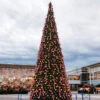 26.5' Giant Pre-Lit Everest FirCommercial Tower Christmas Tree - Multicolor C7 LED Lights -Beauty Wreaths Shop iqn9ab7pa5kqgalafcmepgpeoqjcooqe 99045.1680153259