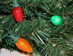 16.5' Pre-Lit Everest Fir Commercial Christmas Tower Tree - Multicolor C7 LED Lights 8 16.5' Pre-Lit Everest Fir Commercial Christmas Tower Tree - Multicolor C7 LED Lights -Beauty Wreaths Shop k3uhzdtonectf1jcp0hgrbsfk5qcrgou 56119.1680153244