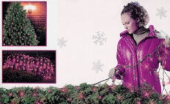 4' X 6' Pink Mini Net Style Christmas Lights - Green Wire -Beauty Wreaths Shop khv8zeucsg2y28jjupsatawvudkjqli4 49285.1667553595