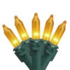 150-Count Gold Chasing 8-Function Mini Christmas Light Set, 31.25ft Green Wire -Beauty Wreaths Shop kt8ank7msulxtze6dcplfvmb98tpxzt4 35 1 89185.1667575920