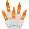 50-Count Orange Steady Mini Christmas Light Set, 9.1ft White Wire -Beauty Wreaths Shop lm8rgpzauzkmlt7uip7vdxr3xz91iibr 64532.1667663938