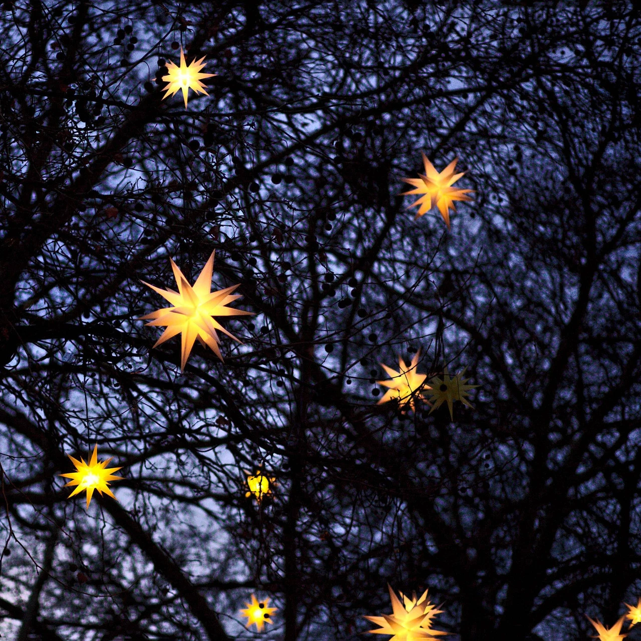 12" White LED Lighted Moravian Star Christmas Decoration 5 12" White LED Lighted Moravian Star Christmas Decoration - Image 3