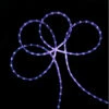 30' Purple LED Outdoor Christmas Linear Tape Lights -Beauty Wreaths Shop myinwspoxlmgecqb69vwxolyrbl5qoin 96754.1667662669