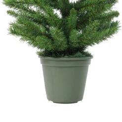 4' Potted Norway Spruce Medium Artificial Christmas Tree - Unlit -Beauty Wreaths Shop n6dq9nezsli61rydd88sa6rpjs7lwlbg 69139.1682535353