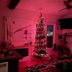 Set Of 300 Multi-Color Mini Christmas Lights 2.5" Spacing - Green Wire -Beauty Wreaths Shop northlight20nl02363 cxpic2 73701.1669226800