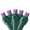 50 Purple LED Wide Angle Christmas Lights - 16.25 Ft Green Wire -Beauty Wreaths Shop northlight20nl02571 33 55350.1667489927
