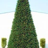 12' Pre-Lit Green Slim Pine Artificial Christmas Tree - Clear Lights -Beauty Wreaths Shop northlight20v27313 64486.1667536224