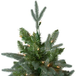 6.5' Pre-Lit Washington Frasier Fir Artificial Christmas Tree - Clear Lights 9 6.5' Pre-Lit Washington Frasier Fir Artificial Christmas Tree - Clear Lights -Beauty Wreaths Shop northlight b03885 3 93445.1680198597