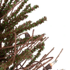 18" Pre-Lit Potted Warsaw Twig Artificial Christmas Tree - Clear Lights -Beauty Wreaths Shop northlight b03907 2 73603.1667530572