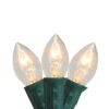 Set Of 25 C7 Clear Christmas Lights - 24 Ft Green Wire -Beauty Wreaths Shop northlight b42g8112 updated 94993.1667663083