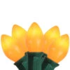 25-Count Opaque Orange C7 Christmas Light Set, 24ft Green Wire -Beauty Wreaths Shop northlight b4bg8e11 1 02518.1667601502