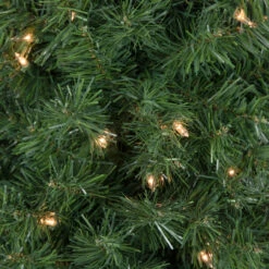 6' X 20" Pre-Lit Traditional Green Pine Pencil Artificial Christmas Tree - Clear Lights -Beauty Wreaths Shop northlight b83517 2 80134.1673969966