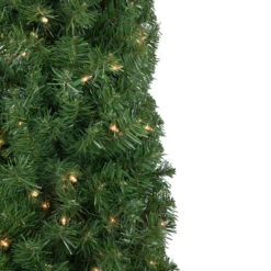 6' X 20" Pre-Lit Traditional Green Pine Pencil Artificial Christmas Tree - Clear Lights -Beauty Wreaths Shop northlight b83517 3 18896.1673969967