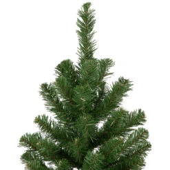 3' Blackwater Fir Medium Artificial Christmas Tree - Unlit 9 3' Blackwater Fir Medium Artificial Christmas Tree - Unlit -Beauty Wreaths Shop northlight b83522 3 31229.1667490053