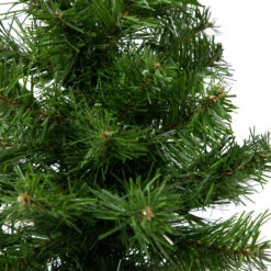 18" Medium Blackwater Fir Artificial Christmas Tree - Unlit 9 18" Medium Blackwater Fir Artificial Christmas Tree - Unlit -Beauty Wreaths Shop northlight b83529 1 98723.1667530758