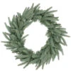 Frasier Fir Artificial Christmas Wreath - 24-Inch, Unlit -Beauty Wreaths Shop northlight b84766 60413.1667663438