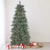 6.5' Pre-Lit Slim Washington Frasier Fir Artificial Christmas Tree - Clear Lights -Beauty Wreaths Shop northlight b84774 34293.1667536737