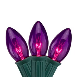 25-Count Purple Transparent C9 Christmas String Lights Set, 24ft Green Wire