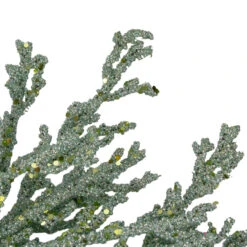 20" Green Glittered Artificial Coral ChristmasWreath -Beauty Wreaths Shop northlight gb90530 2 72672.1667531226
