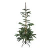 6.5 Ft Layered Nordmann Fir Artificial Christmas Tree - Unlit -Beauty Wreaths Shop northlight j00082 1 93020.1667575880