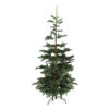 7.5ft Layered Nordmann Fir Artificial Christmas Tree - Unlit -Beauty Wreaths Shop northlight j00083 1 79322.1667659182