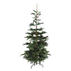 7.5ft Layered Nordmann Fir Artificial Christmas Tree - Unlit