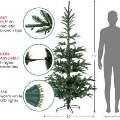 6.5' Pre-Lit Nordmann Fir Artificial Christmas Tree, Warm Clear LED Lights -Beauty Wreaths Shop northlight j00085 2 48707.1687966320