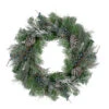 Mixed Pine And Blueberries Artificial Christmas Wreath -24-Inch, Unlit -Beauty Wreaths Shop northlight kji85826 updated 65241.1667597159