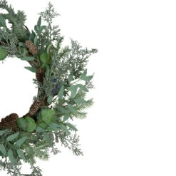 Frosted Green Mixed Foliage And Blueberries Artificial Christmas Wreath, 26-Inch, Unlit -Beauty Wreaths Shop northlight ll89770 2 69956.1667530137