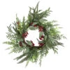 Mixed Foliage And Red Berries Artificial Christmas Wreath, 24-Inch, Unlit -Beauty Wreaths Shop northlight ll94346 1 59319.1680184580