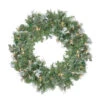 Pre-Lit Snow Mountain Pine Artificial Christmas Wreath - 24-Inch, Clear Lights -Beauty Wreaths Shop northlight m88645 29222.1667642860