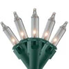 100-Count Clear Mini Christmas Light Set, 20.25ft Green Wire -Beauty Wreaths Shop northlight nl02342 97833.1671318749