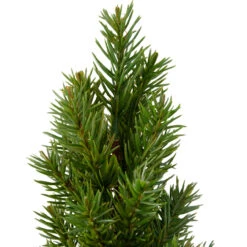 17" Mini Tabletop Christmas Tree With Red Metal Pot - Unlit -Beauty Wreaths Shop northlight sf89158 3 sample 38471.1667658117