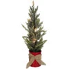 16" LED Lighted Red Potted Artificial Tabletop Iced Christmas Tree Decoration - Clear Lights -Beauty Wreaths Shop northlight sf89172 1 sample 80628.1667573263