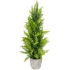 17" Upswept Frosted Cedar Artificial Christmas Tree - Unlit -Beauty Wreaths Shop northlight sf89186 1 sample 24865.1667573270