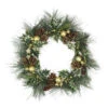 Long Needle Pine With Winter Foliage And Stars Christmas Wreath - 20-Inch, Unlit 2 Long Needle Pine With Winter Foliage And Stars Christmas Wreath - 20-Inch, Unlit -Beauty Wreaths Shop northlight sh27133 02002.1667578083