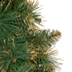 Pre-Lit Yorkshire Pine Artificial Christmas Wreath, 24-Inch, Clear Lights -Beauty Wreaths Shop northlight sm2924 updated 3 16355.1667530205