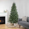 6.5' Pre-Lit Slim Granville Fraser Fir Artificial Christmas Tree, Clear Lights -Beauty Wreaths Shop northlight sm92911 1 68869.1667530197