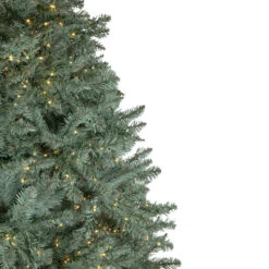 7.5' Pre-Lit Full Newport Spruce Artificial Christmas Tree, LED Lights -Beauty Wreaths Shop northlight sm92996 2 83300.1667535772
