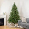 7.5' Pre-Lit Birch River Fir Artificial Christmas Tree, Candlelight Clear Lights -Beauty Wreaths Shop northlight sm92997 1 94847.1667535769