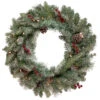 Pre-Lit Snowy Waterloo Pine Artificial Christmas Wreath - 24-Inch, Clear Lights -Beauty Wreaths Shop northlight sm92999 updated 1 21708.1667530148