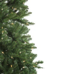 12' Pre-Lit Instant Connect LED Neola Fraser Fir Artificial Christmas Tree - Multicolor Lights 12 12' Pre-Lit Instant Connect LED Neola Fraser Fir Artificial Christmas Tree - Multicolor Lights -Beauty Wreaths Shop northlight sp15020 2updated 73006.1667534194
