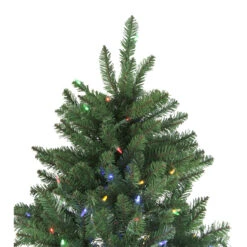 7.5' Pre-Lit Medium Neola Fraser Fir Artificial Christmas Tree - Dual Color LED Lights -Beauty Wreaths Shop northlight sp15020 5updated 09445.1667536307