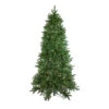 12' Pre-Lit Instant Connect LED Neola Fraser Fir Artificial Christmas Tree - Multicolor Lights -Beauty Wreaths Shop northlight sp15020updated 67190.1667534193