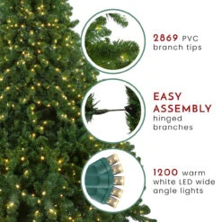 9' Pre-Lit Full Olympia Pine Artificial Christmas Tree - Warm White Lights -Beauty Wreaths Shop northlight th28354 thumbnail 220 74622.1667572691