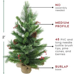 24" Mixed Cashmere Berry Pine Medium Artificial Christmas Tree - Unlit -Beauty Wreaths Shop northlight v03957 thumbnail 09231.1684869034