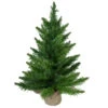 24" Mini Balsam Pine Artificial Christmas Tree In Burlap Base, Unlit -Beauty Wreaths Shop northlight v03995 updated2022 25630.1667488327