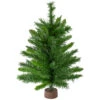 24" Mixed Kateson Fir Medium Artificial Christmas Tree - Unlit -Beauty Wreaths Shop northlight v03996 updated 09392.1667488324